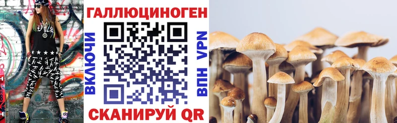 как найти закладки Чекалин Псилоцибиновые грибы ЛСД